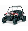 Polaris RZR Efi 170